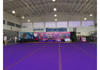 Campeonato Nacional FENMEGEG Monterrey 2015